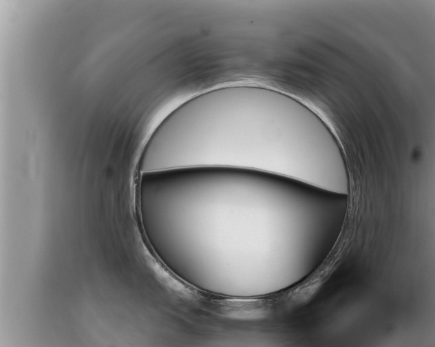 X0000089351151200706221133