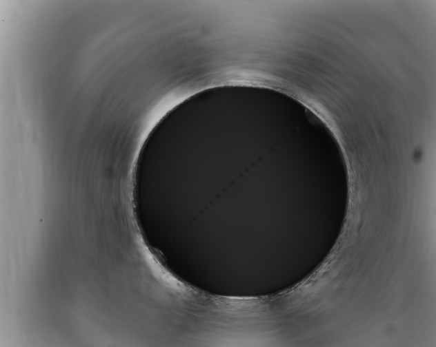 X0000089351152200706221133