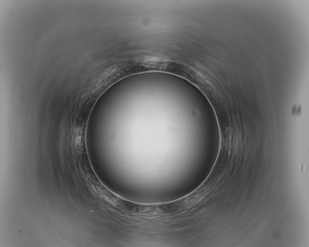 X0000089351154200706221132