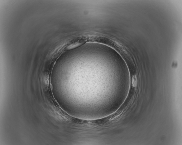 X0000089351155200706221132