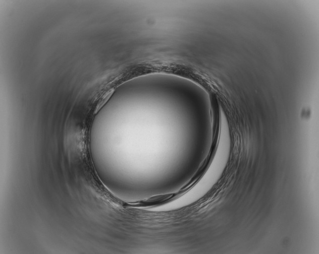 X0000089351156200706221132