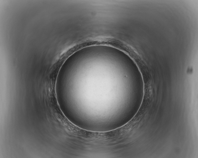 X0000089351158200706221132