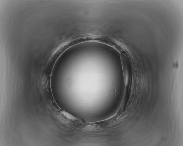 X0000089351160200706221132