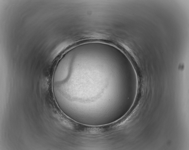 X0000089351163200706221132