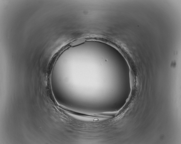 X0000089351165200706221132
