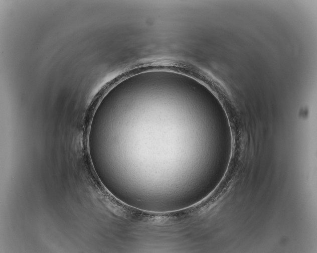 X0000089351166200706221132