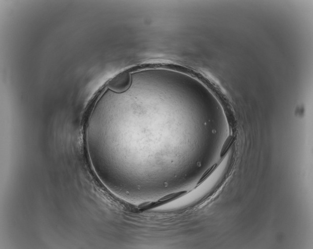 X0000089351167200706221132