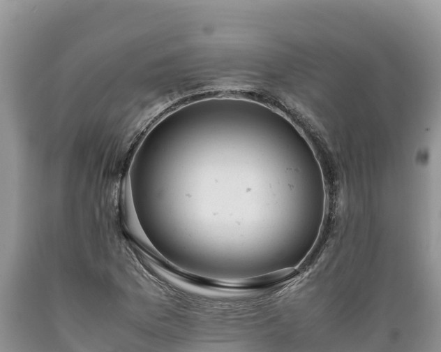 X0000089351169200706221132