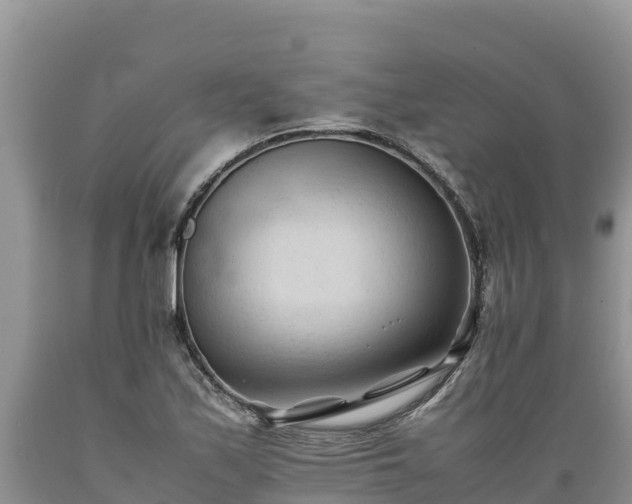 X0000089351171200706221132