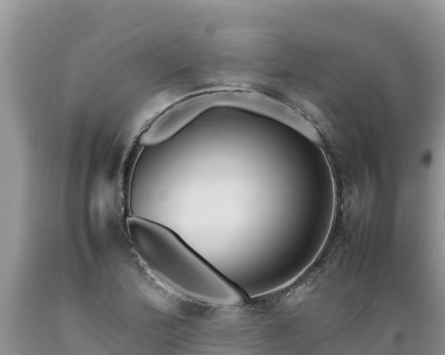 X0000089351172200706221132