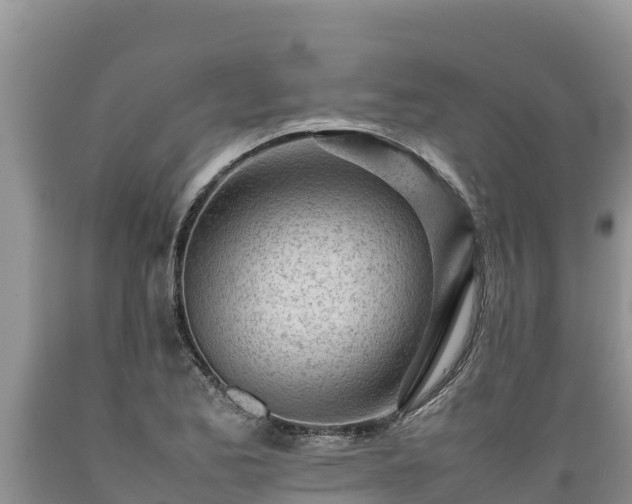 X0000089351173200706221132