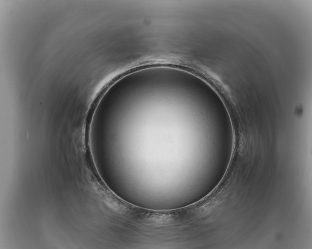 X0000089351174200706221132