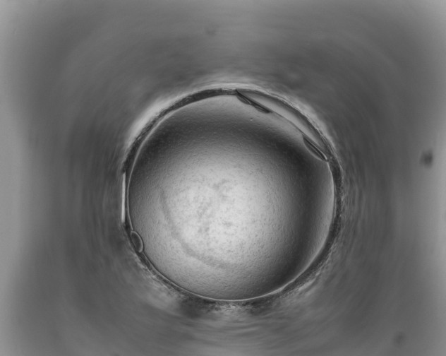X0000089351175200706221132