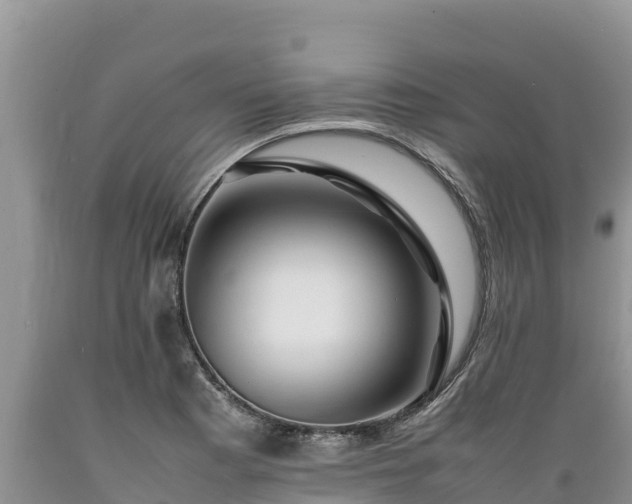 X0000089351177200706221132