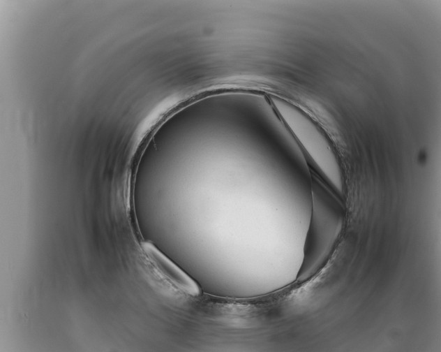 X0000089351180200706221132