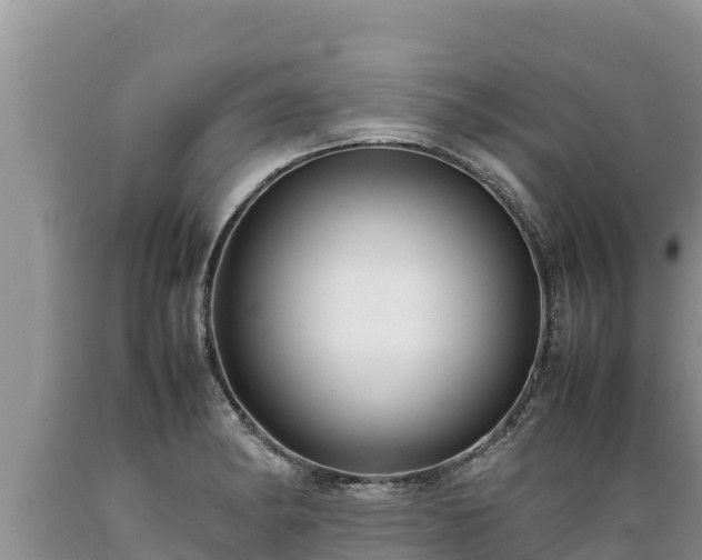 X0000089351182200706221132