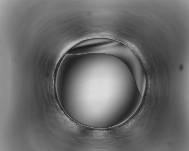 X0000089351184200706221132