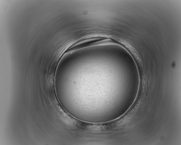 X0000089351185200706221132