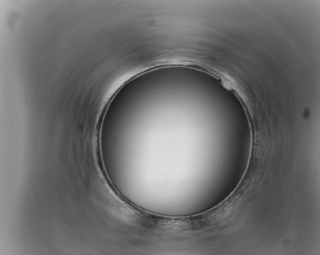 X0000089351187200706221132