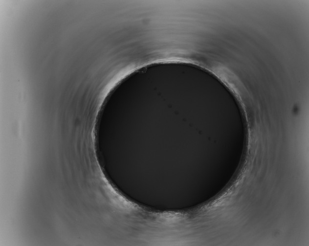 X0000089351189200706221132