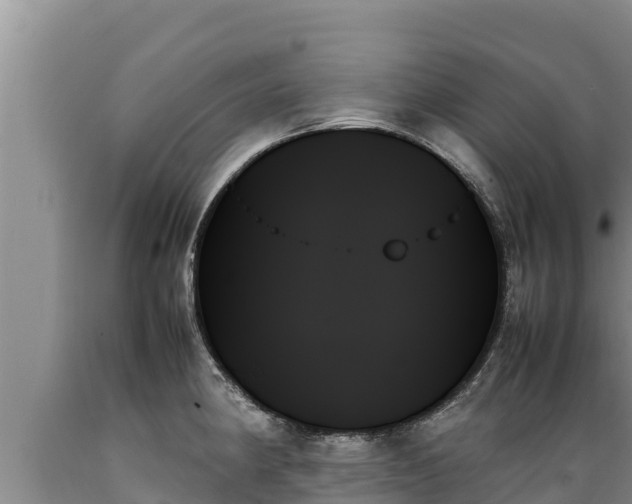 X0000089351190200706221132