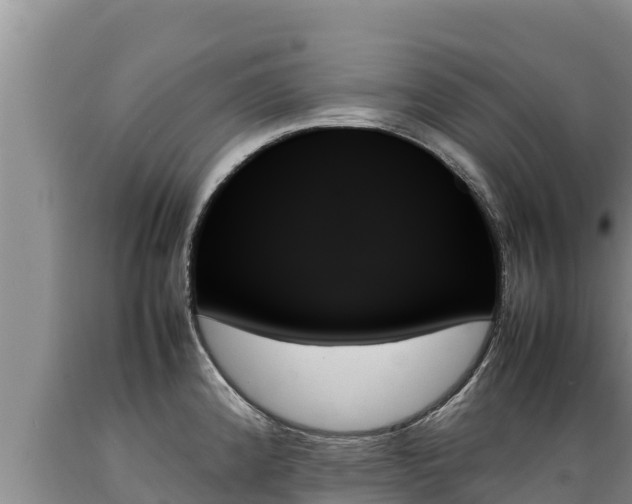 X0000089351192200706221132
