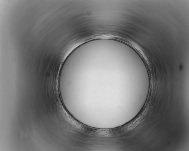 X0000089351194200706221132
