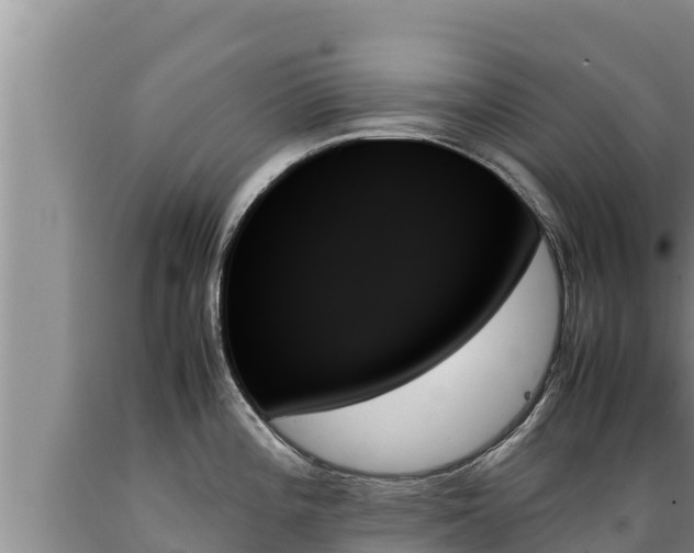 X0000089351196200706221132