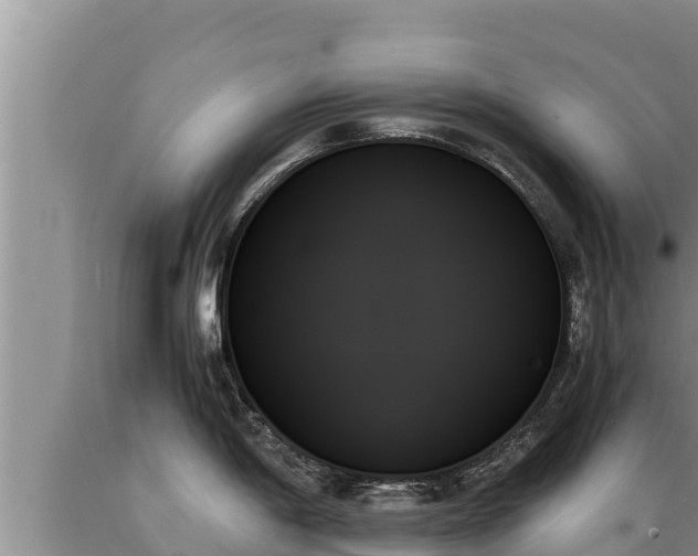 X0000089351198200706221132