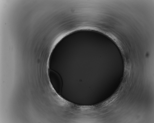 X0000089351199200706221132