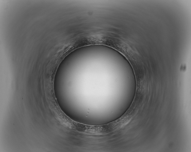 X0000089351201200706221131
