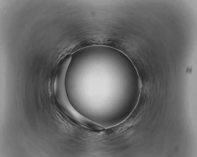 X0000089351202200706221131