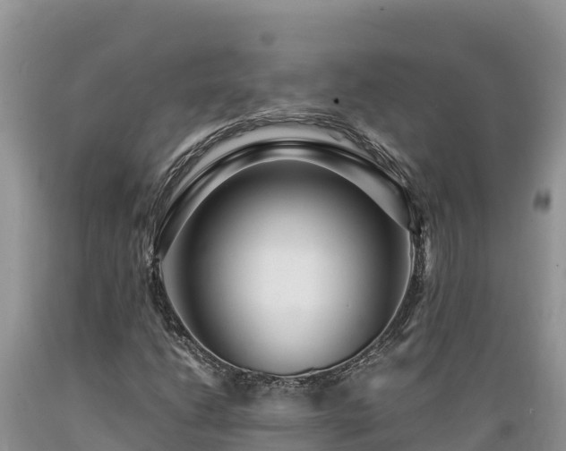 X0000089351206200706221131