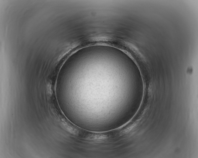 X0000089351209200706221131