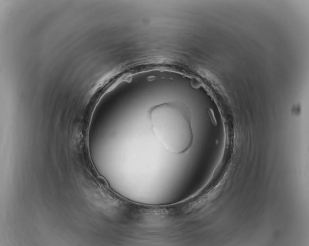 X0000089351210200706221131