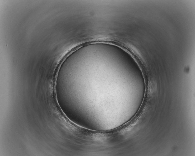 X0000089351212200706221131