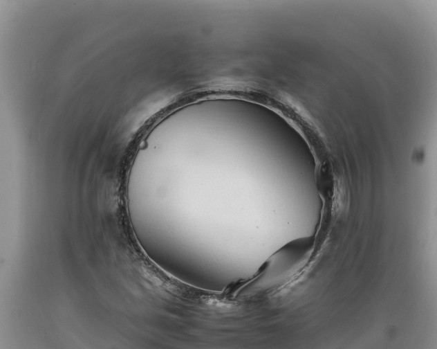 X0000089351213200706221131