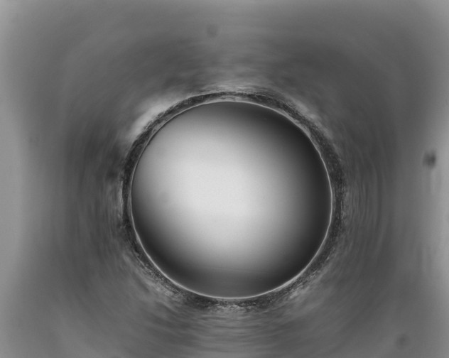 X0000089351214200706221131