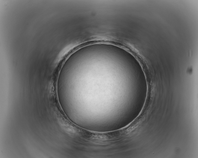 X0000089351215200706221131