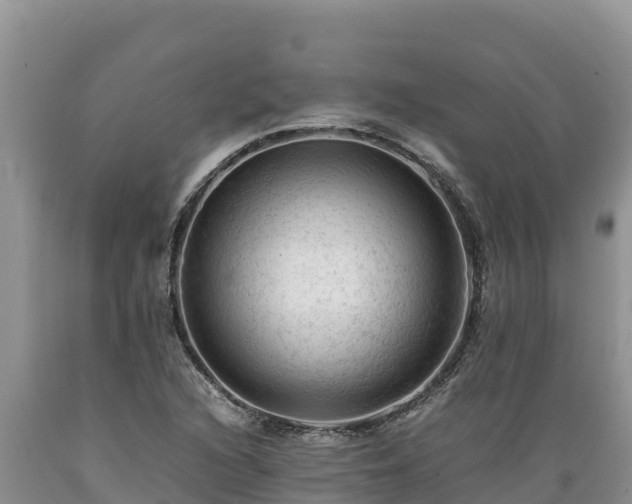 X0000089351216200706221131