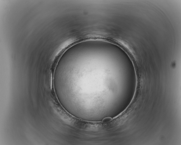 X0000089351219200706221131