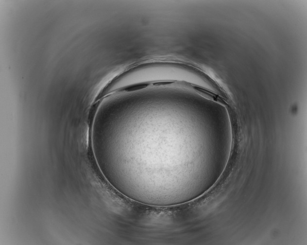 X0000089351221200706221131