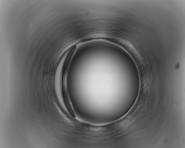 X0000089351225200706221131