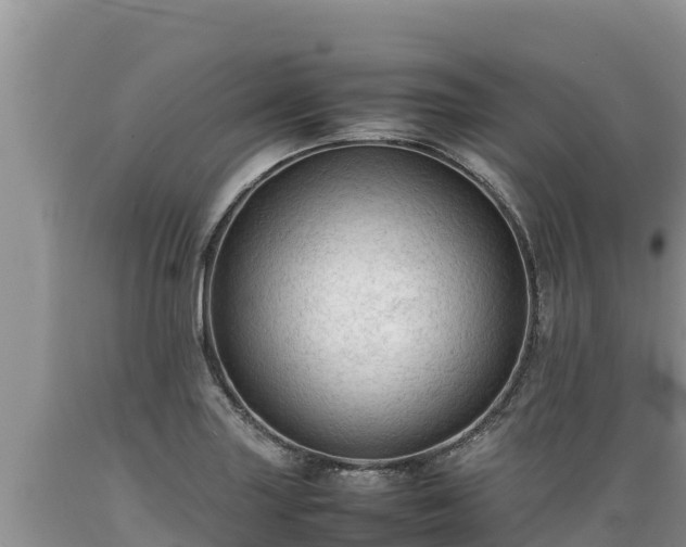X0000089351227200706221131