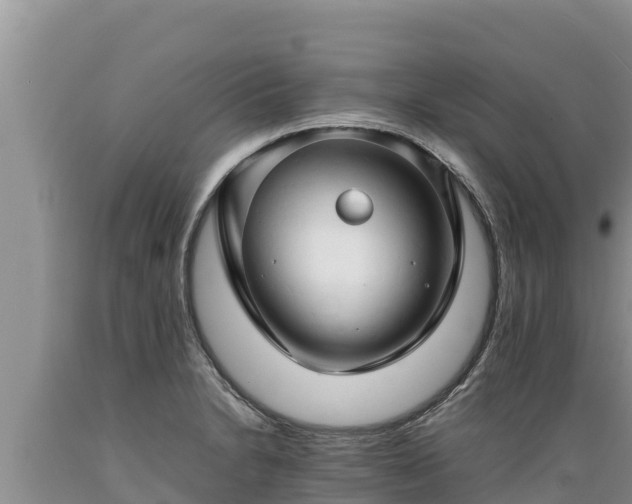 X0000089351230200706221131