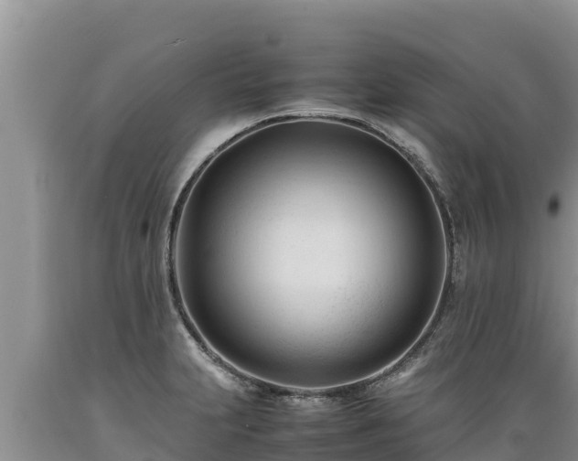 X0000089351231200706221131