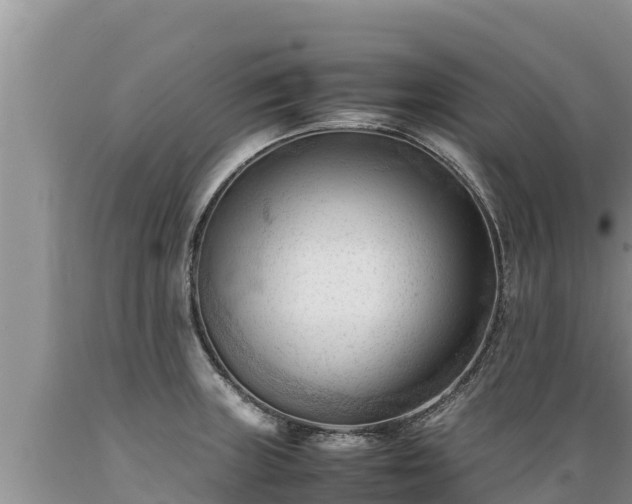 X0000089351235200706221131