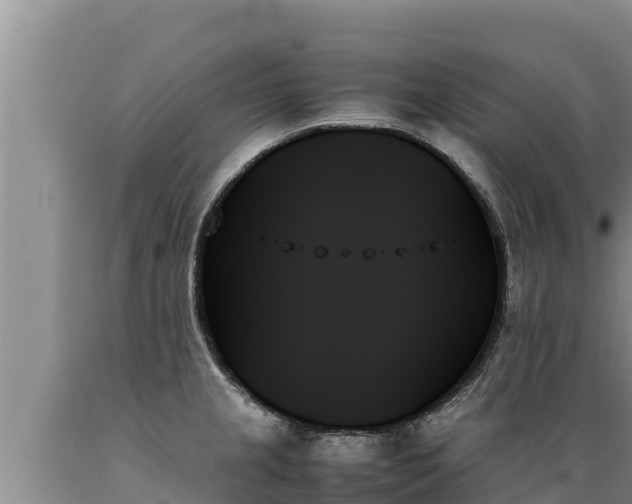 X0000089351237200706221131