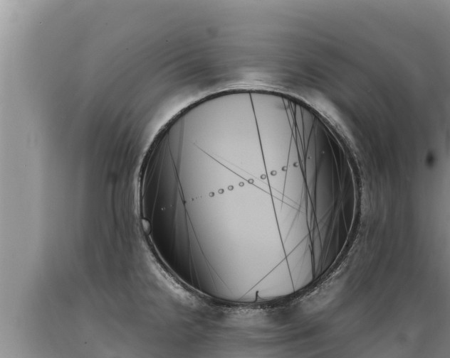X0000089351238200706221131