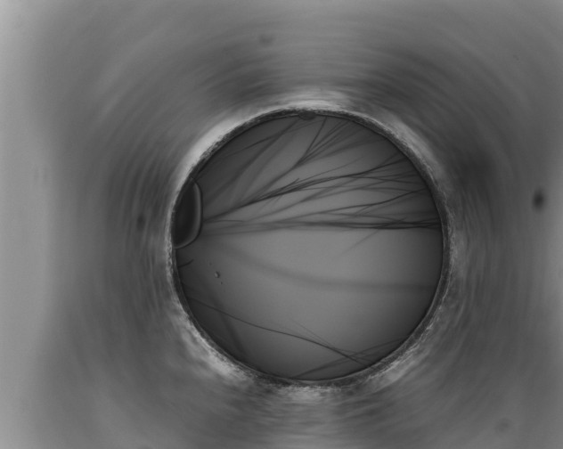 X0000089351240200706221131